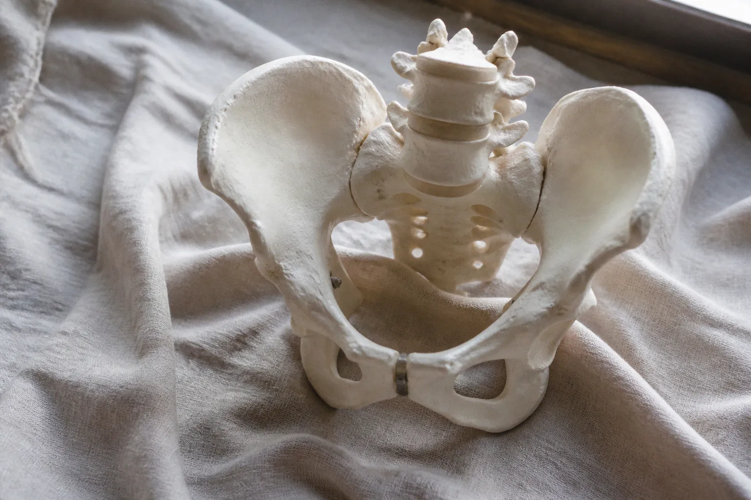 Osteopathie in der Schwangerschaft: Was sich im Körper verändert
